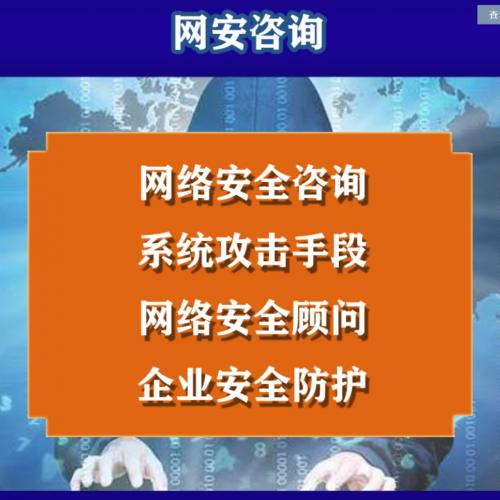 网络技术咨询服务